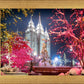 Salt Lake City Christmas Lights