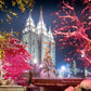 Salt Lake City Christmas Lights