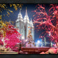 Salt Lake City Christmas Lights