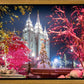 Salt Lake City Christmas Lights