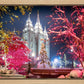 Salt Lake City Christmas Lights