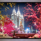 Salt Lake City Christmas Lights