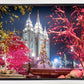 Salt Lake City Christmas Lights