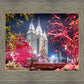Salt Lake City Christmas Lights