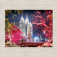 Salt Lake City Christmas Lights