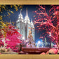 Salt Lake City Christmas Lights