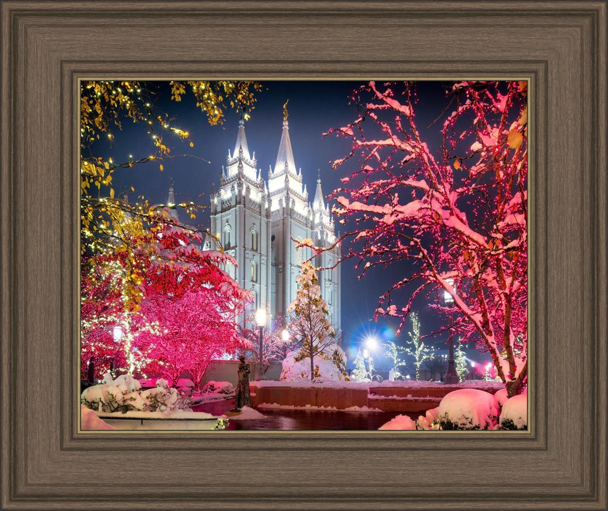 Salt Lake City Christmas Lights