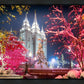 Salt Lake City Christmas Lights
