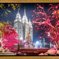 Salt Lake City Christmas Lights