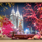 Salt Lake City Christmas Lights