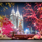 Salt Lake City Christmas Lights