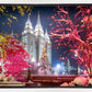 Salt Lake City Christmas Lights