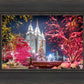 Salt Lake City Christmas Lights