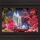 Salt Lake City Christmas Lights