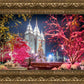 Salt Lake City Christmas Lights