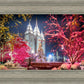 Salt Lake City Christmas Lights