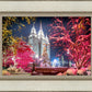 Salt Lake City Christmas Lights