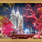 Salt Lake City Christmas Lights