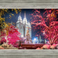 Salt Lake City Christmas Lights