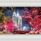 Salt Lake City Christmas Lights