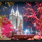 Salt Lake City Christmas Lights