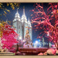 Salt Lake City Christmas Lights
