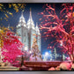 Salt Lake City Christmas Lights