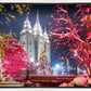 Salt Lake City Christmas Lights