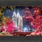 Salt Lake City Christmas Lights
