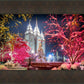 Salt Lake City Christmas Lights