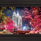 Salt Lake City Christmas Lights