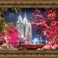 Salt Lake City Christmas Lights