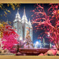 Salt Lake City Christmas Lights