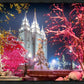 Salt Lake City Christmas Lights