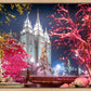 Salt Lake City Christmas Lights