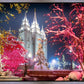 Salt Lake City Christmas Lights