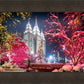 Salt Lake City Christmas Lights