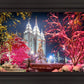 Salt Lake City Christmas Lights
