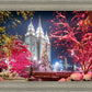 Salt Lake City Christmas Lights