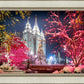 Salt Lake City Christmas Lights