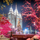 Salt Lake City Christmas Lights