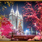 Salt Lake City Christmas Lights