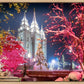 Salt Lake City Christmas Lights
