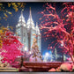 Salt Lake City Christmas Lights