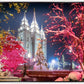 Salt Lake City Christmas Lights