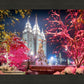 Salt Lake City Christmas Lights