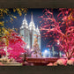 Salt Lake City Christmas Lights