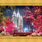Salt Lake City Christmas Lights