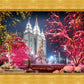 Salt Lake City Christmas Lights