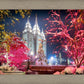 Salt Lake City Christmas Lights